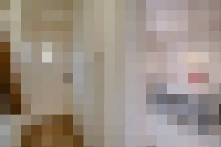 Laan van Soestbergen 15 Utrecht thumbnail 6