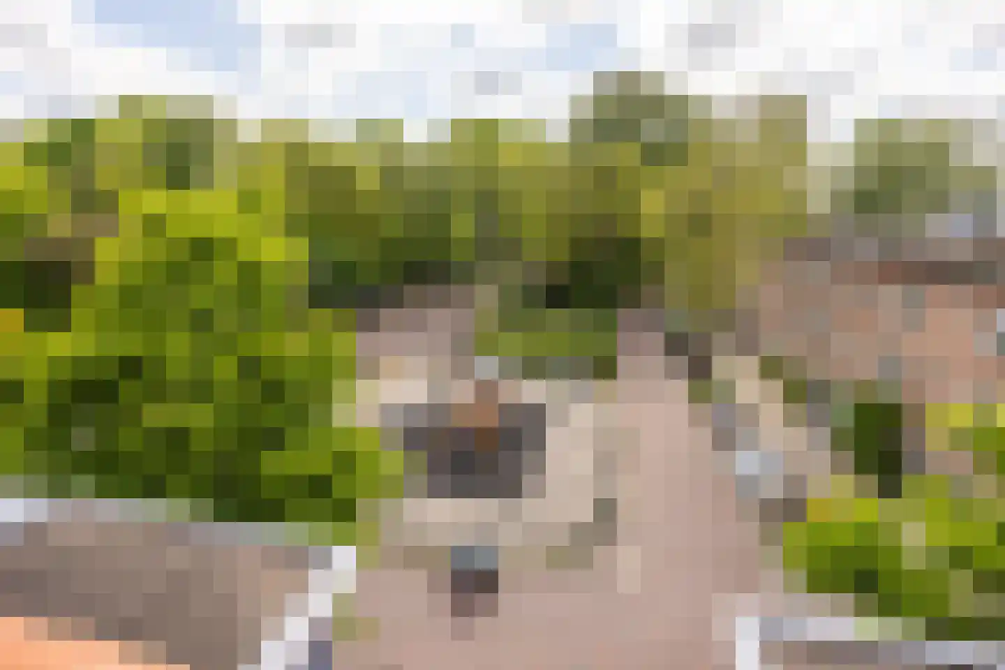 Laan van Soestbergen 25 BS Utrecht thumbnail 25