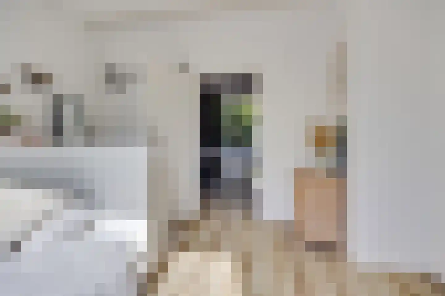 Laan van Soestbergen 25 BS Utrecht thumbnail 6