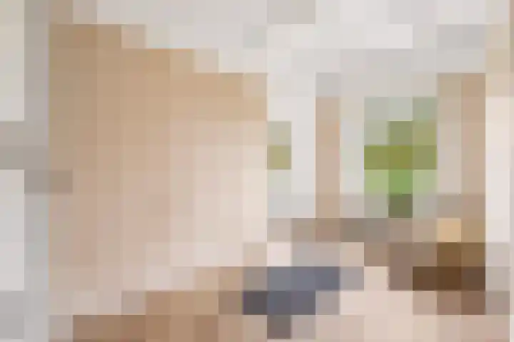 Laan van Soestbergen 49 BS Utrecht thumbnail 23