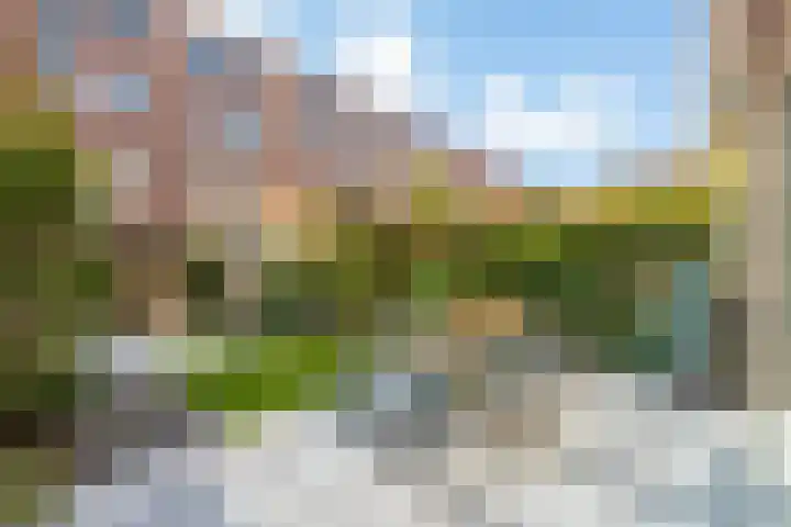 Laan van Sofia 19 Utrecht thumbnail 10