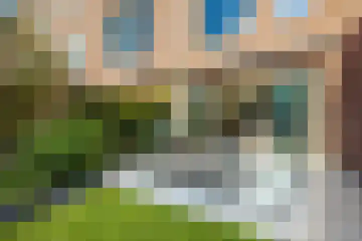 Laan van Sofia 19 Utrecht thumbnail 13