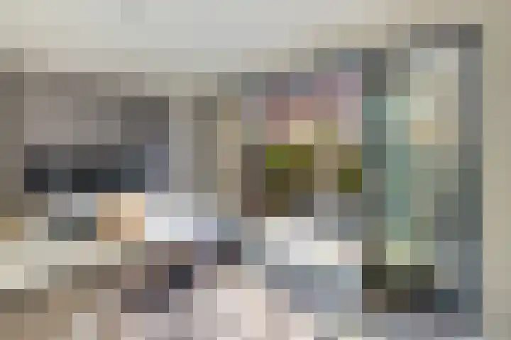 Laan van Sofia 19 Utrecht thumbnail 15
