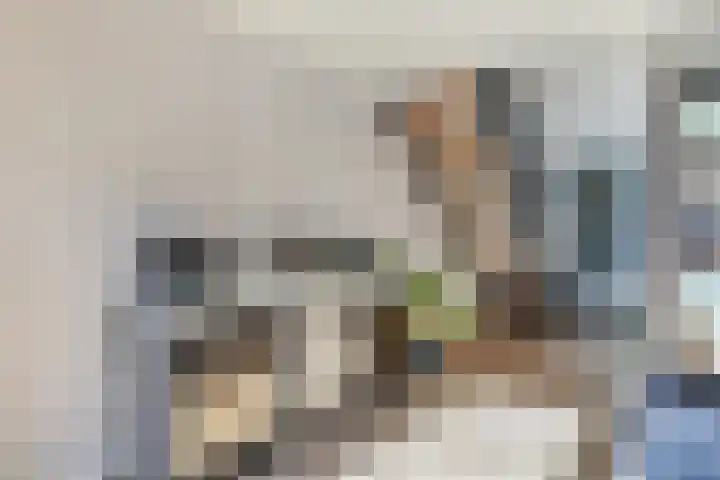 Laan van Sofia 19 Utrecht thumbnail 22