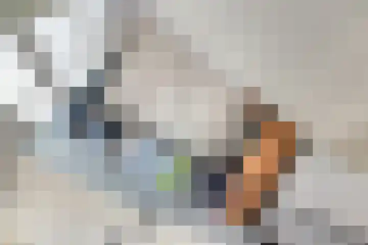 Laan van Sofia 19 Utrecht thumbnail 24