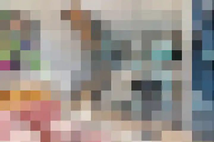 Laan van Sofia 19 Utrecht thumbnail 25