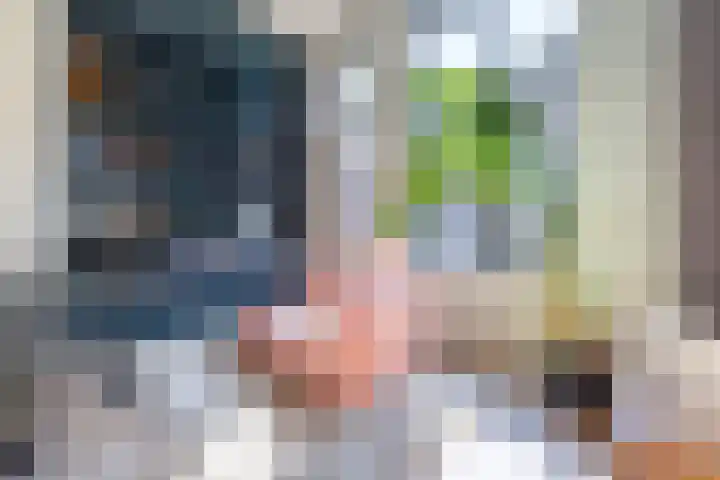 Laan van Sofia 19 Utrecht thumbnail 26