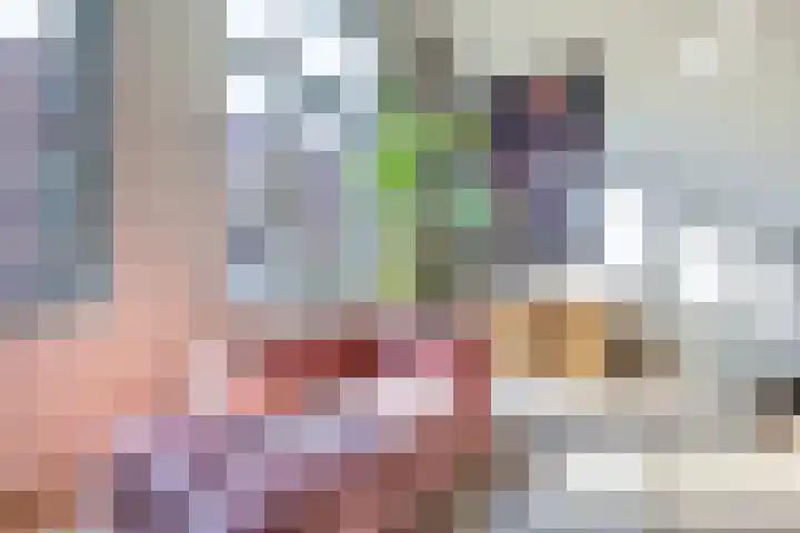 Laan van Sofia 19 Utrecht thumbnail 27