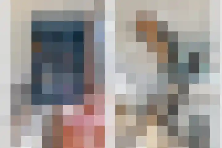 Laan van Sofia 19 Utrecht thumbnail 28