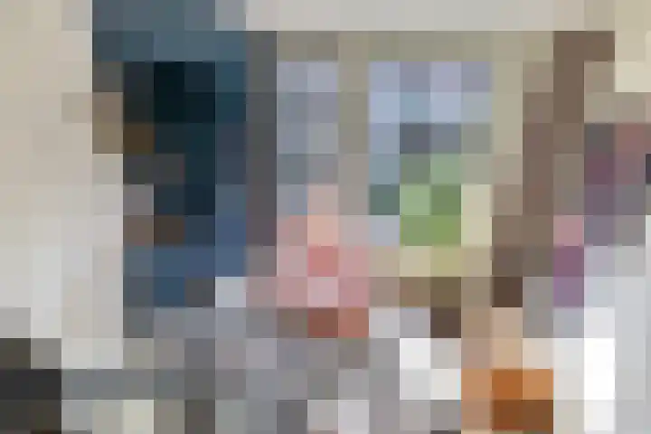 Laan van Sofia 19 Utrecht thumbnail 30