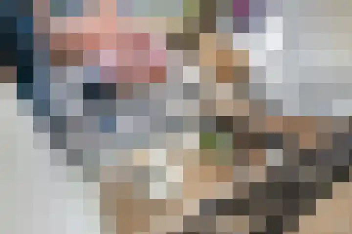 Laan van Sofia 19 Utrecht thumbnail 31