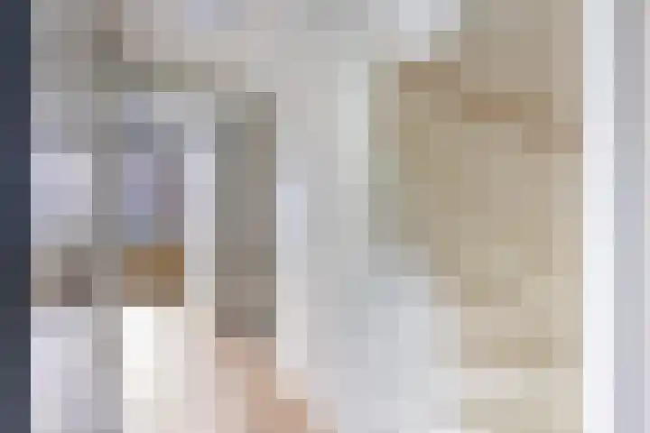 Laan van Sofia 19 Utrecht thumbnail 36