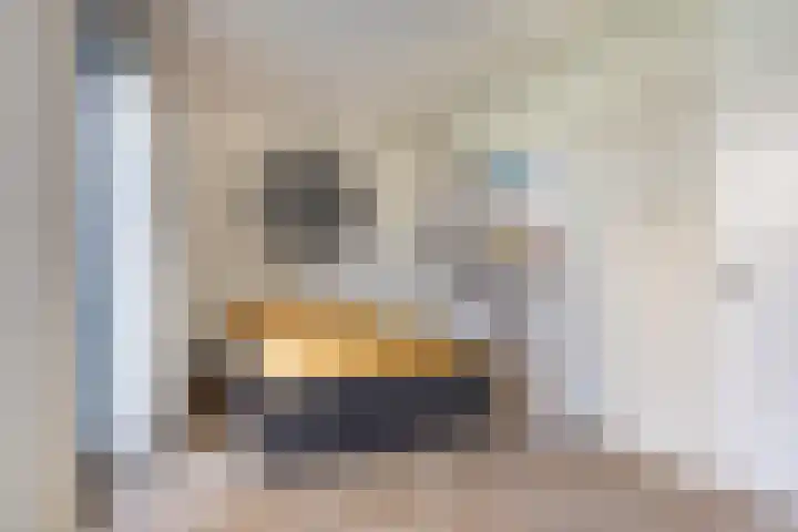 Laan van Sofia 19 Utrecht thumbnail 41