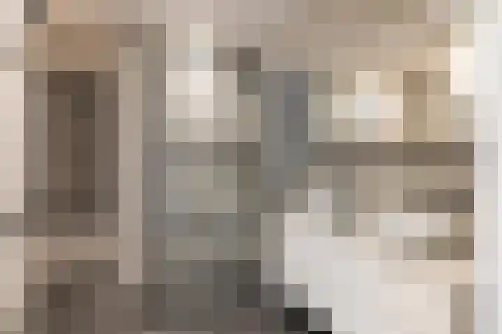 Laan van Sofia 19 Utrecht thumbnail 42