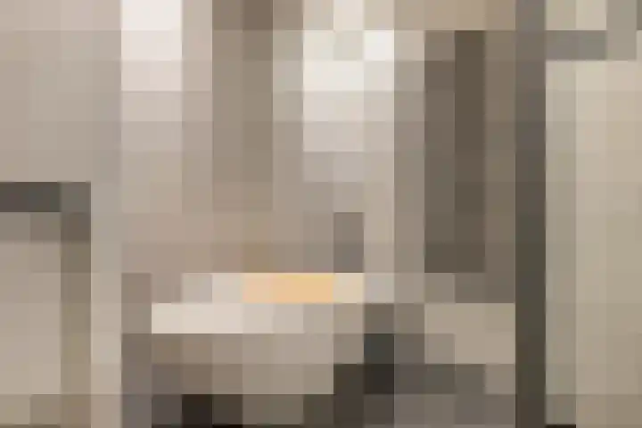 Laan van Sofia 19 Utrecht thumbnail 43