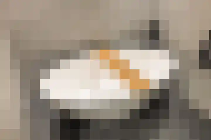 Laan van Sofia 19 Utrecht thumbnail 44