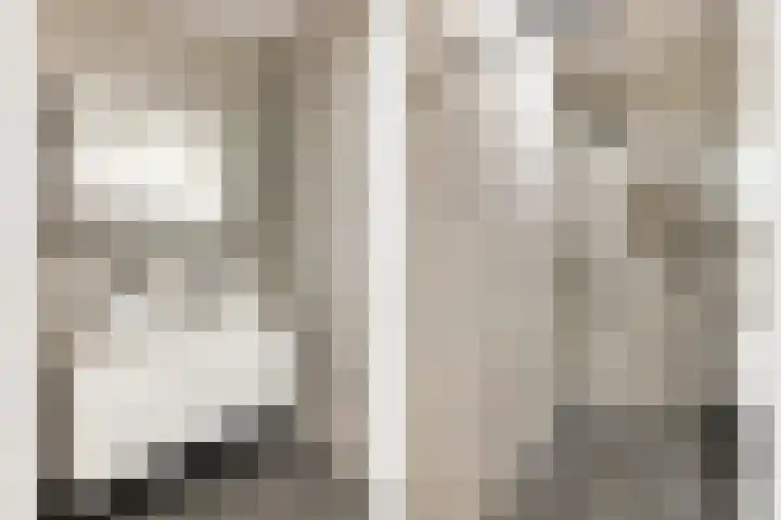Laan van Sofia 19 Utrecht thumbnail 45