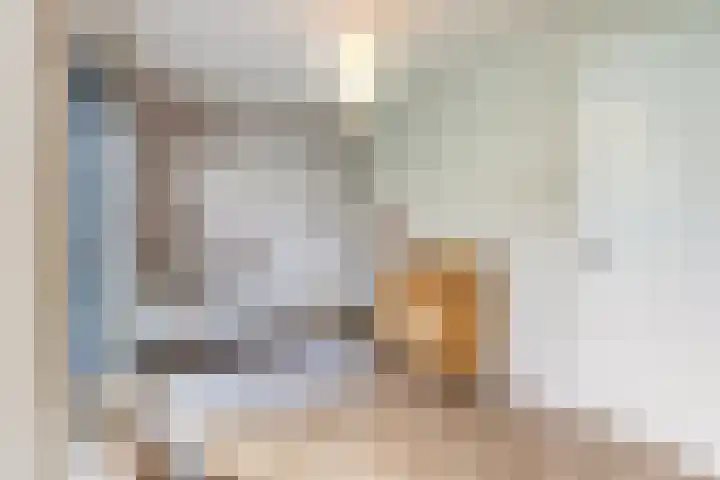 Laan van Sofia 19 Utrecht thumbnail 48