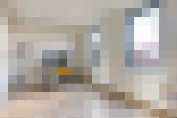 Laan van Sofia 19 Utrecht thumbnail 51