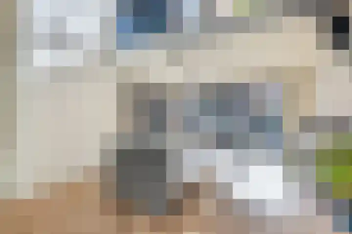 Laan van Sofia 19 Utrecht thumbnail 6