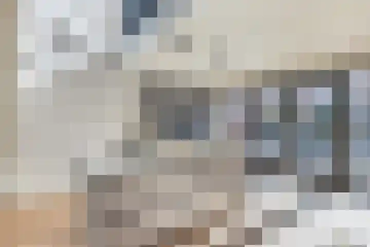 Laan van Sofia 19 Utrecht thumbnail 7
