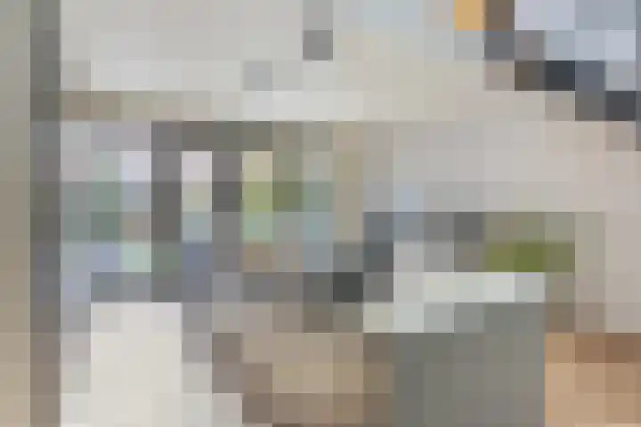 Laan van Sofia 19 Utrecht thumbnail 8