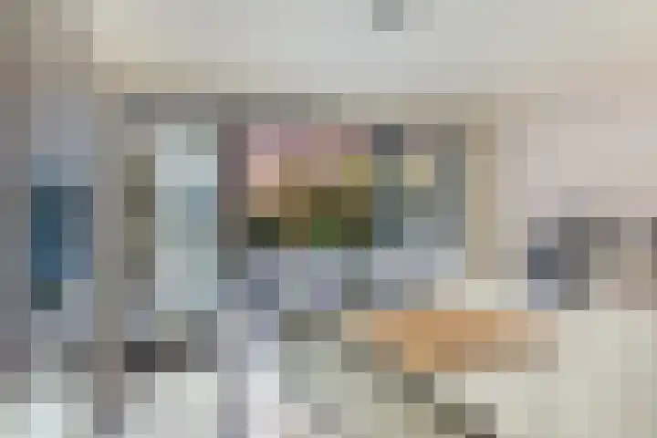 Laan van Sofia 19 Utrecht thumbnail 9