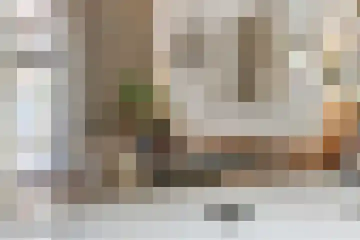 Laan van Sofia 35 Utrecht thumbnail 16