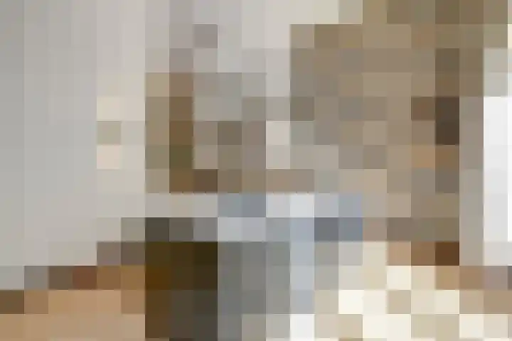 Laan van Sofia 35 Utrecht thumbnail 17