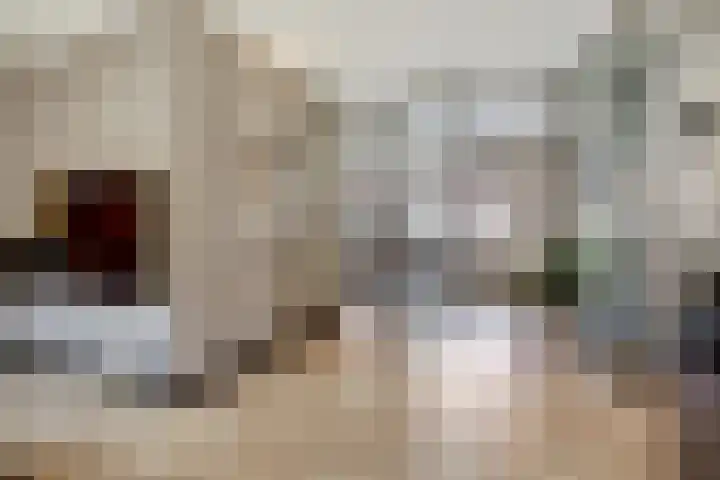 Laan van Sofia 35 Utrecht thumbnail 25