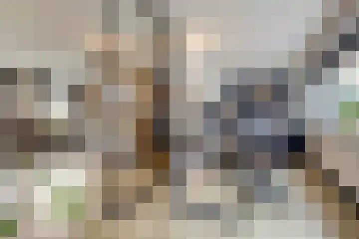 Laan van Sofia 35 Utrecht thumbnail 26