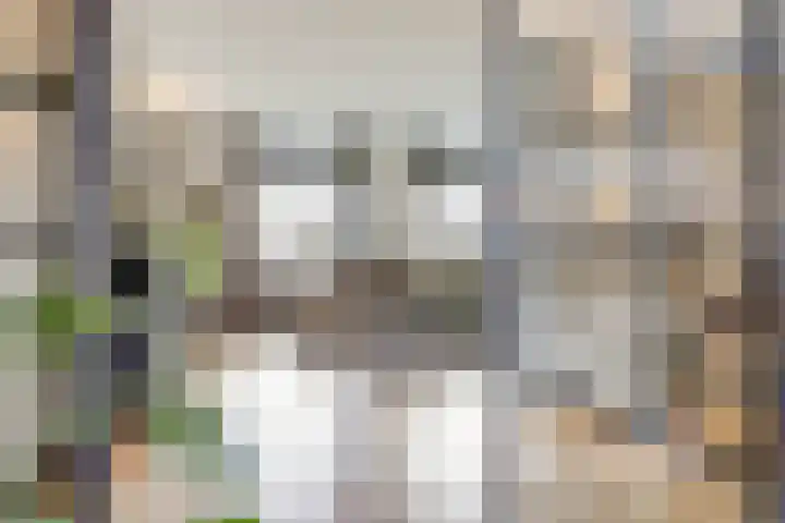 Laan van Sofia 35 Utrecht thumbnail 27