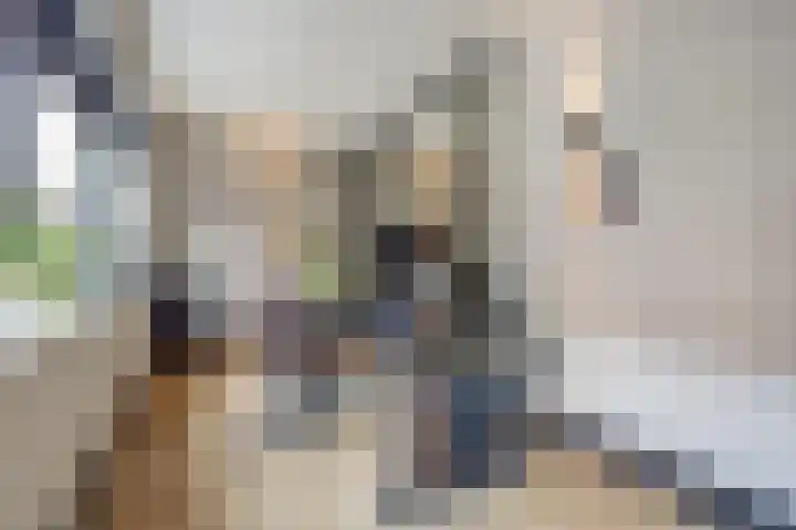 Laan van Sofia 35 Utrecht thumbnail 28