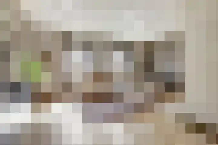 Laan van Sofia 35 Utrecht foto 3