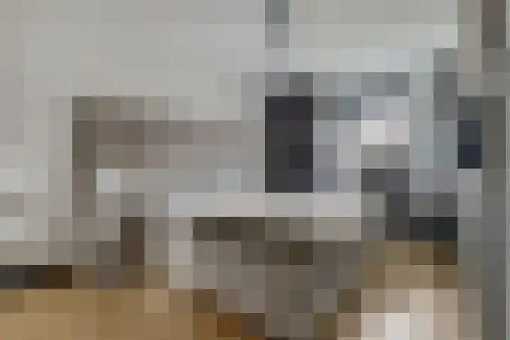 Laan van Sofia 35 Utrecht thumbnail 33