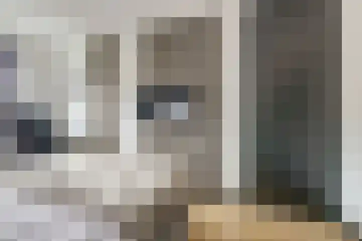 Laan van Sofia 35 Utrecht thumbnail 34