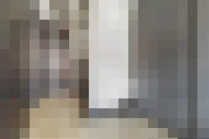 Laan van Sofia 35 Utrecht thumbnail 36