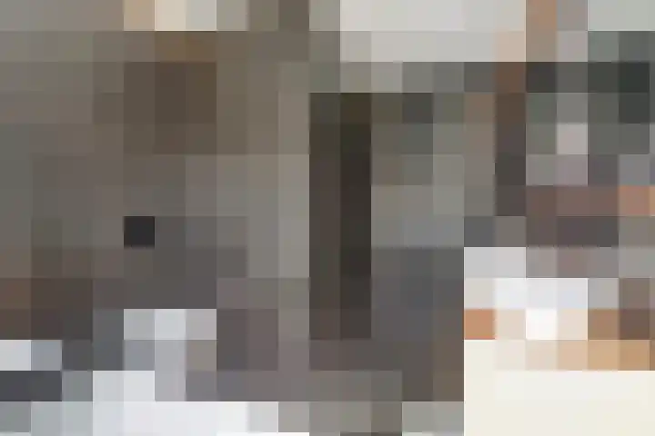 Laan van Sofia 35 Utrecht thumbnail 39