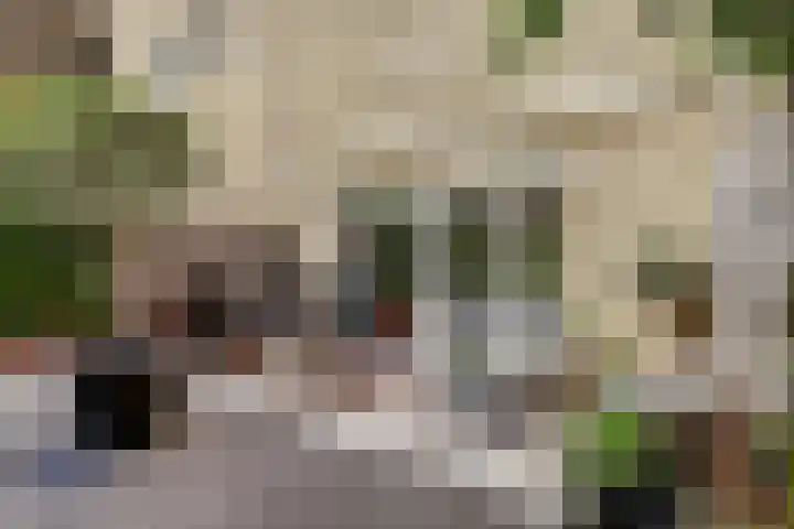 Laan van Sofia 35 Utrecht thumbnail 4