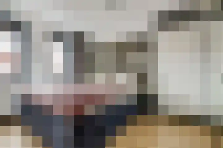 Laan van Sofia 35 Utrecht thumbnail 43