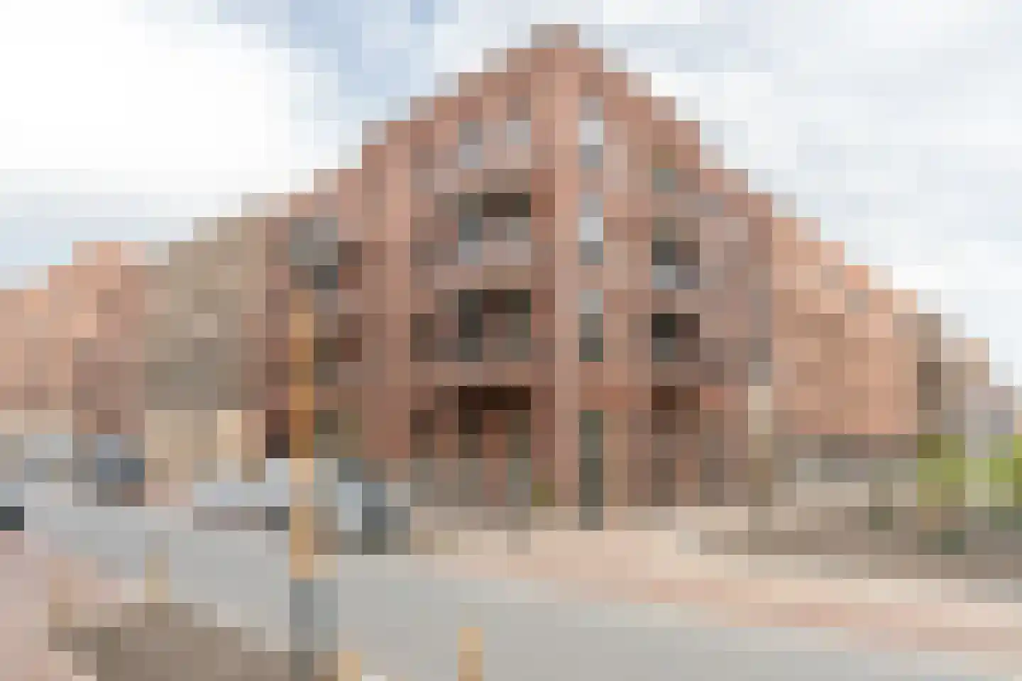 Laan van Sofia 4 K Utrecht