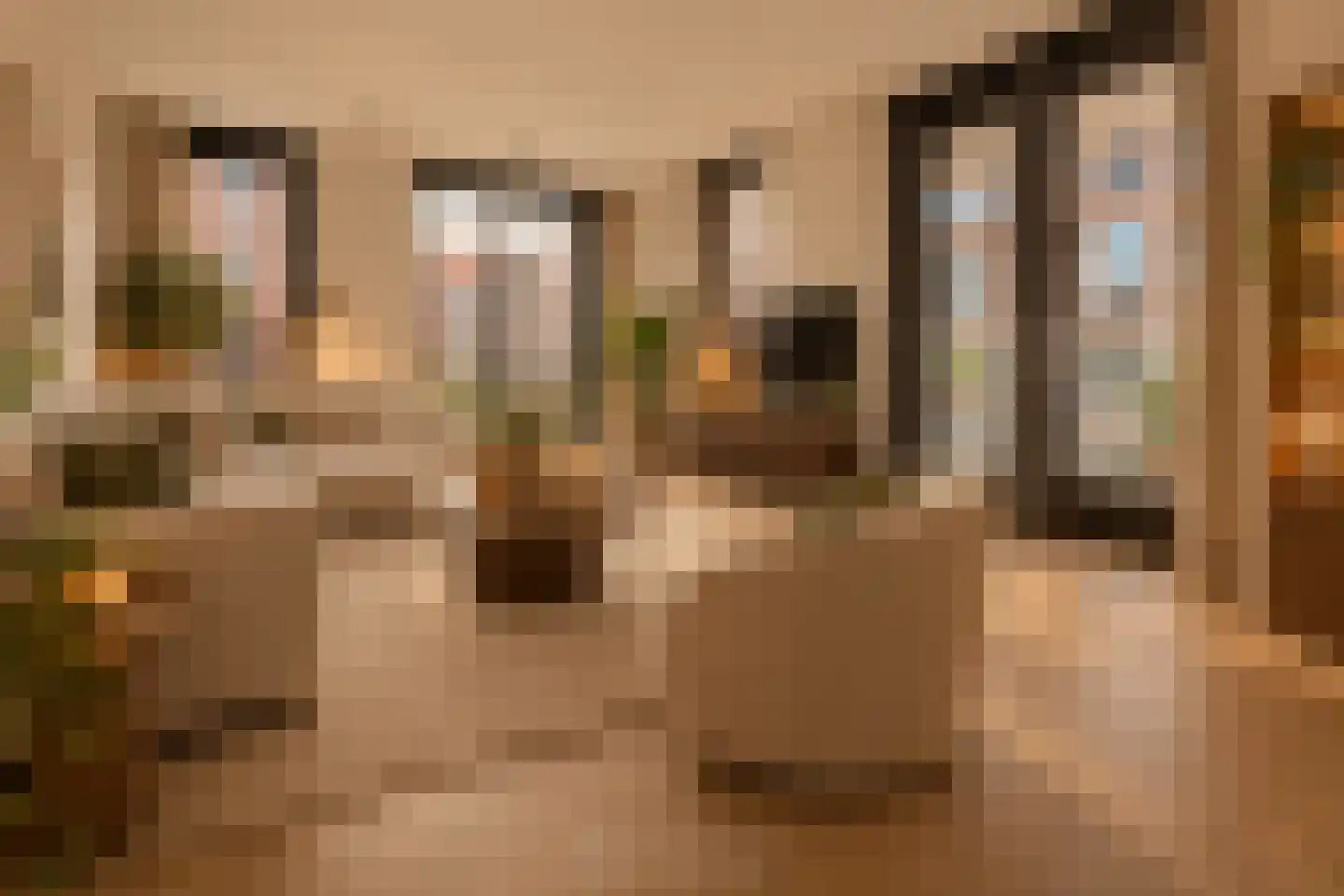 Laan van Sofia 4 K Utrecht thumbnail 18
