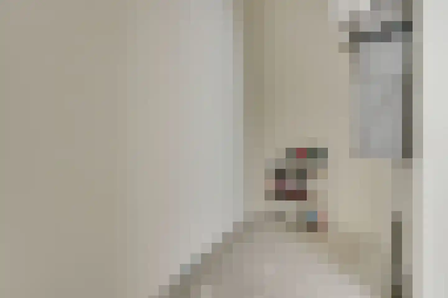 Laan van Sofia 4 K Utrecht thumbnail 46