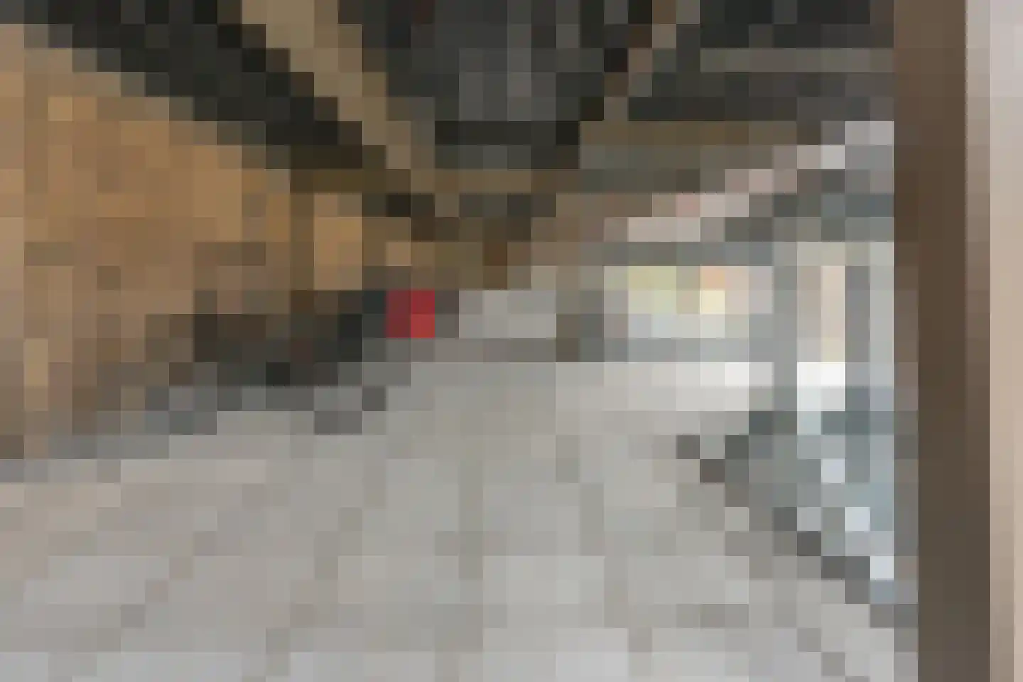 Laan van Sofia 4 K Utrecht thumbnail 49