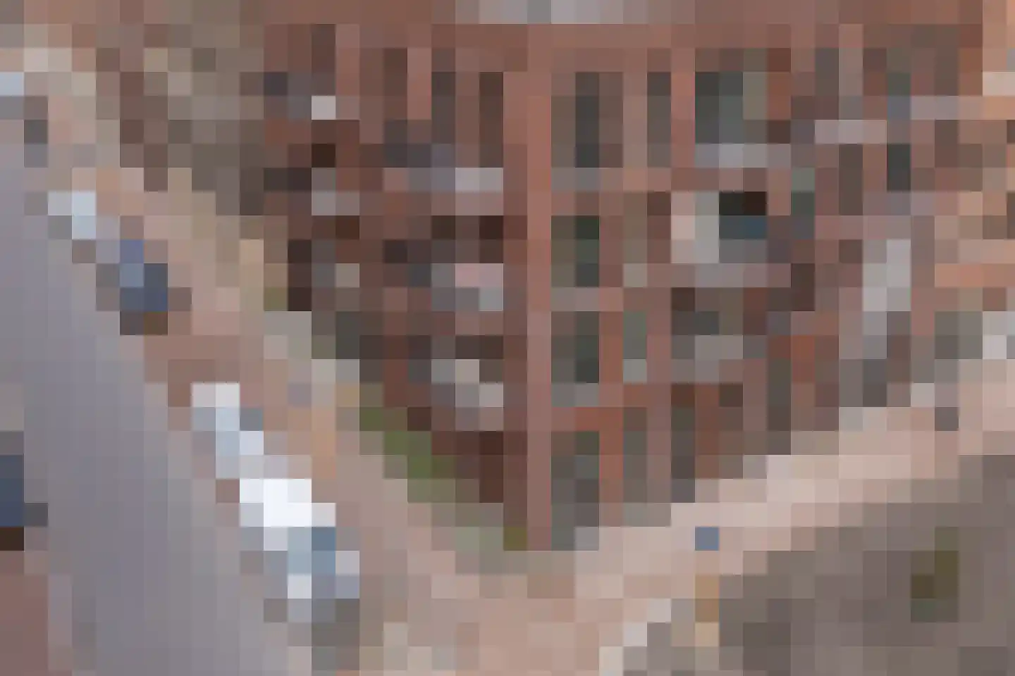 Laan van Sofia 4 K Utrecht thumbnail 51
