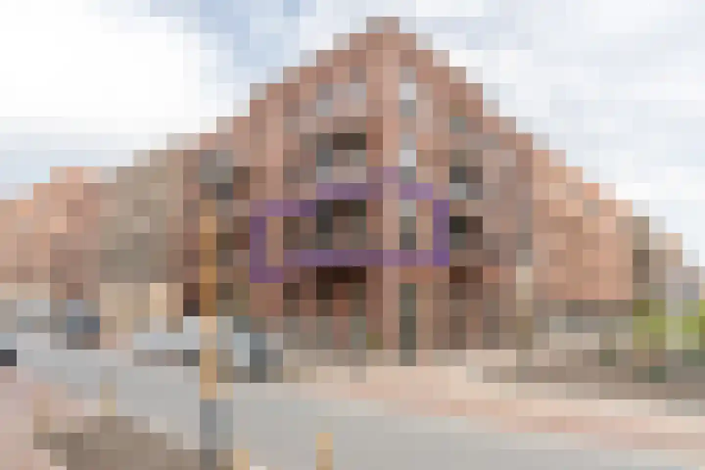 Laan van Sofia 4 K Utrecht thumbnail 6