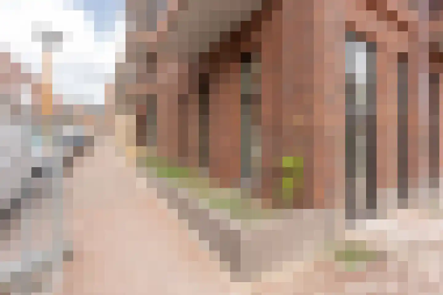 Laan van Sofia 4 K Utrecht thumbnail 8