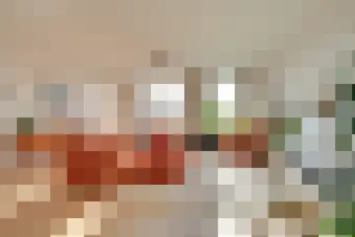 Laan van Sofia 47 Utrecht thumbnail 18