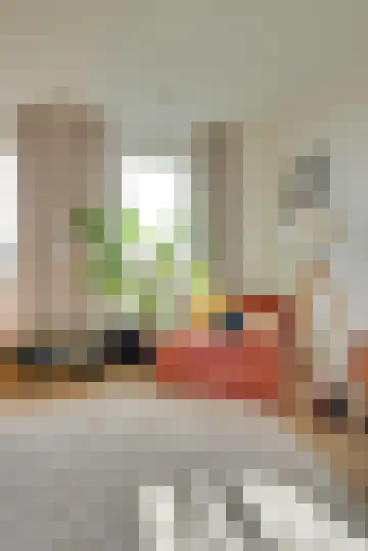 Laan van Sofia 47 Utrecht thumbnail 19