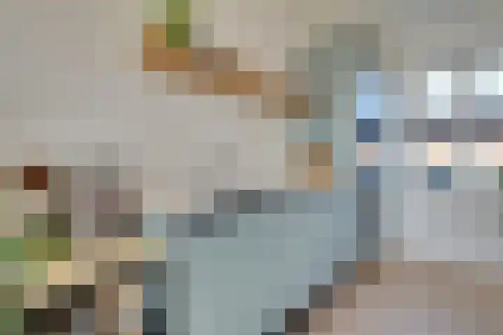 Laan van Sofia 47 Utrecht thumbnail 22